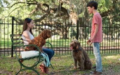 Jak rozmawiać z psem