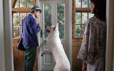 O psie, który jeździł koleją